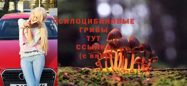 твердый Карпинск