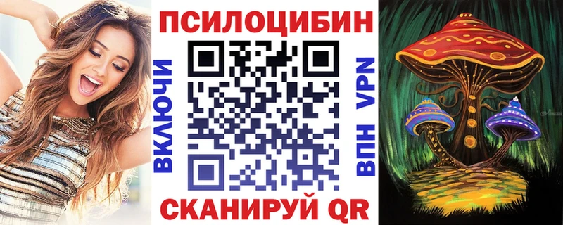 Галлюциногенные грибы GOLDEN TEACHER  кракен зеркало  Кашин 